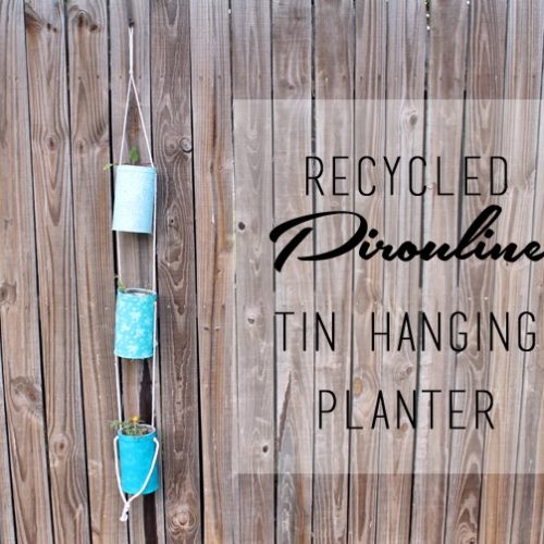 Ombre Hanging Planter from Pirouline Tins
