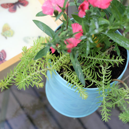 DIY Glow in the Dark Planter Tin